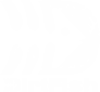 DirtFish Logo