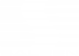 Saleen Logo