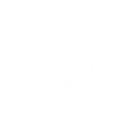 Dirtfish Logo