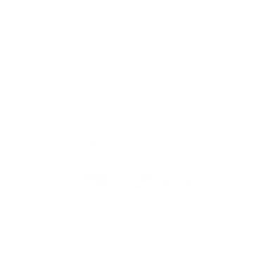 Dirtfish Logo