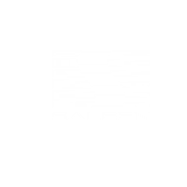 Saleen Logo